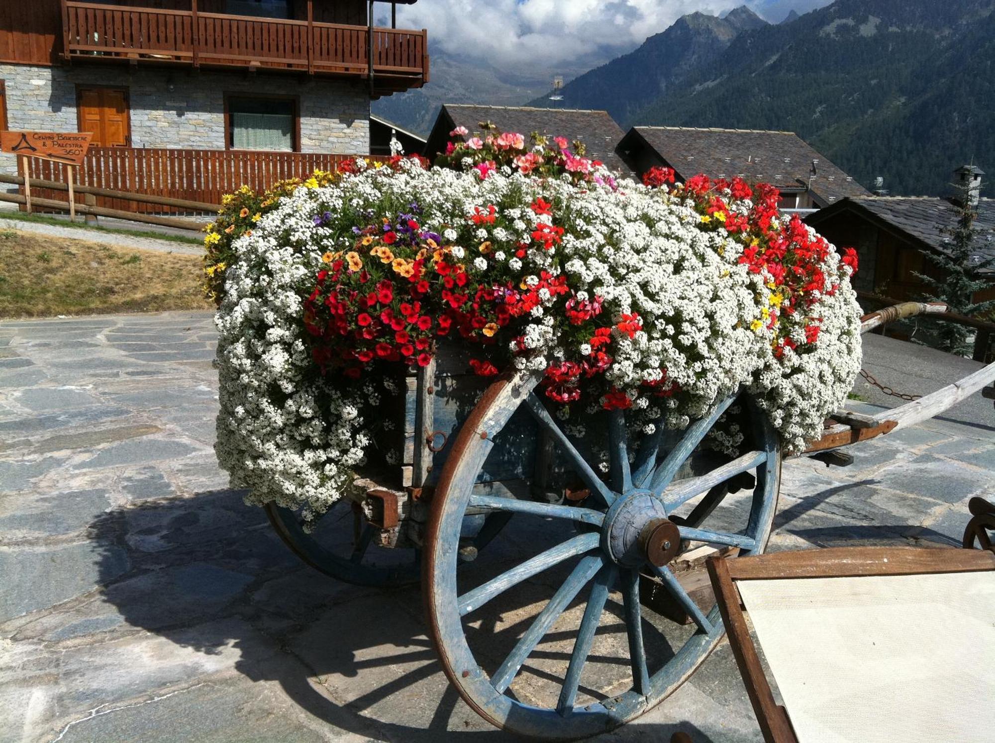 Residence Lo Peyo Champoluc Extérieur photo